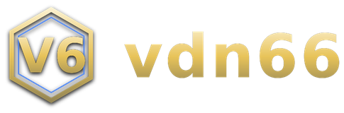 vdn66 logo
